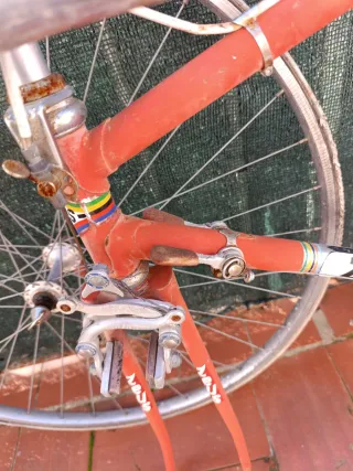 Bicicleta de carretera Zeus