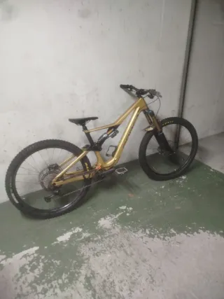 Bicicleta Orbea Dorada Montaña