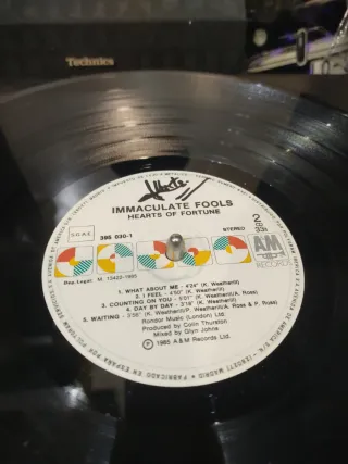 Vinilo Immaculate Fools Hearts of Fortune