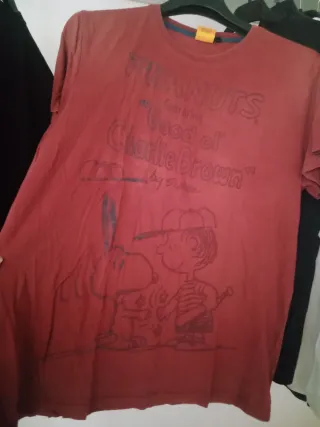 Lotto 15 capi uomo taglia M