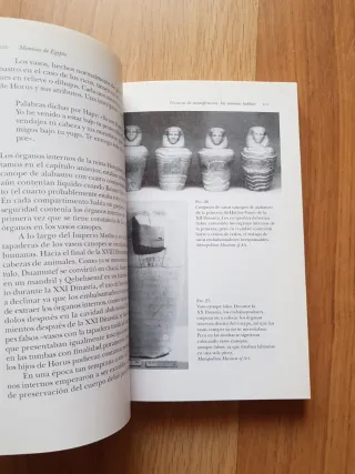 Momias de Egipto (Spanish Edition)