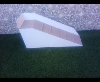 Rampa para perros 119x35x50 cm