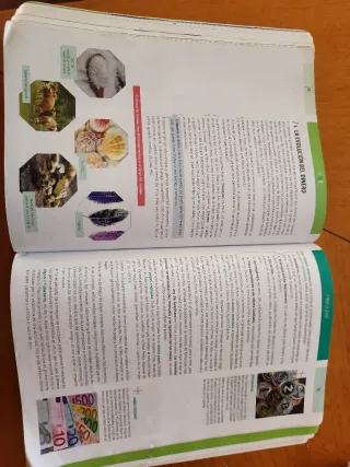 Economía I 1º Bachillerato