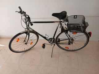 Bicicleta Paseo Caballero