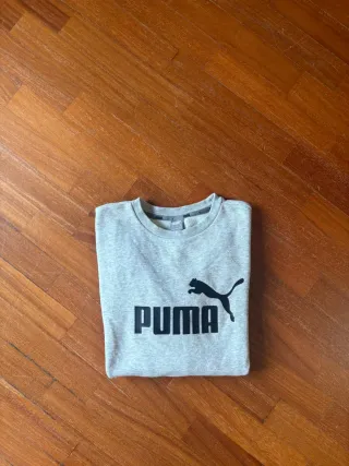 Felpa Puma Uomo Grigia Taglia S, veste grande