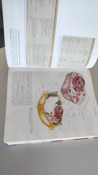 Principios de Bioquimica - 2da Edicion