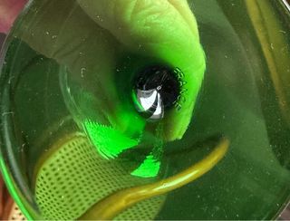 Set 6 Bicchieri Cherry Vintage Verde