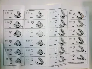 Kit Cubetas Vannini Prótesis Completa Nuevo