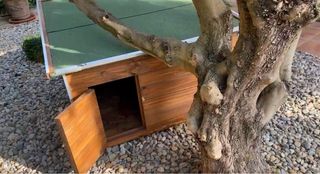 Caseta madera aislada para perros.