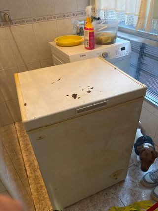 Congelador horizontal grande urge vender