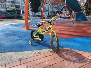 Bicicleta infantil 14'' Pony