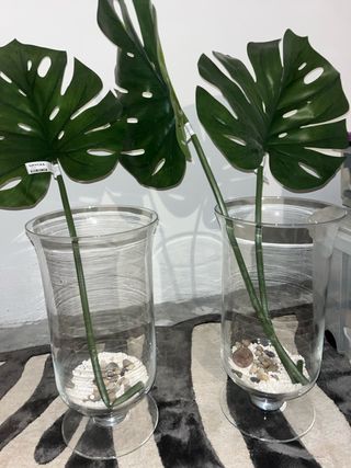 Jarrones cristal con piedras y hojas