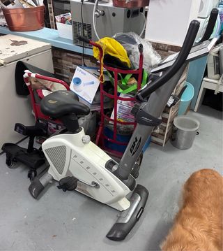 Bicicleta Estática BH Pegasus Plus