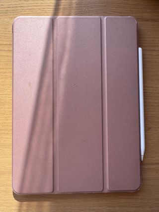 iPad Air 5ta Generación Rosa/Plata