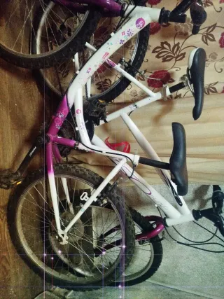 Dos Bicicletas niña blanca y morada y blanca sola