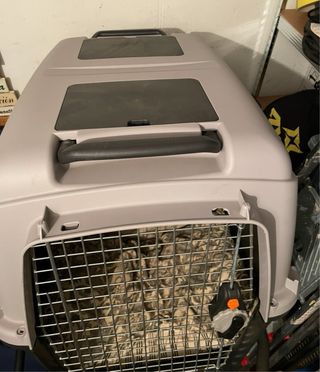 Transportín Perro Beige/Gris