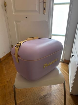 Nevera Retro Polarbox 20L Rosa y Amarilla