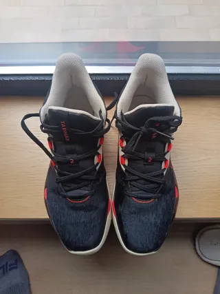 Zapatillas Baloncesto Negras y Rojas