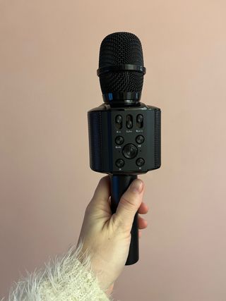 Micrófono Karaoke Negro con Funda