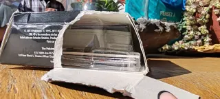 Pokémon Negro y Blanco: Fuerzas Emergentes