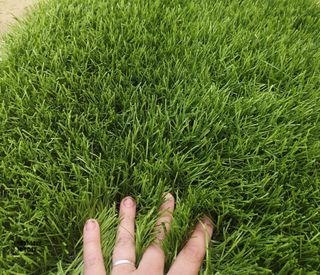 Césped artificial reciclado