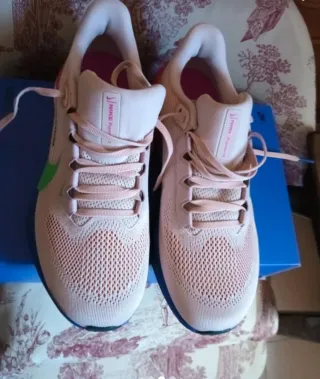 Zapatillas Nike Air Pegasus 41 EK