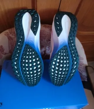 Zapatillas Nike Air Pegasus 41 EK