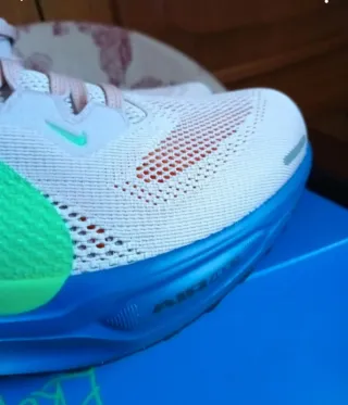 Zapatillas Nike Air Pegasus 41 EK