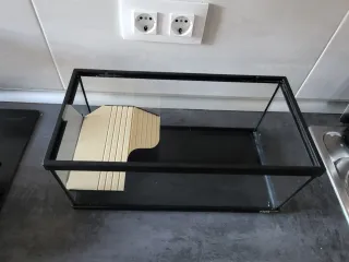 Terrario cristal tortuga agua