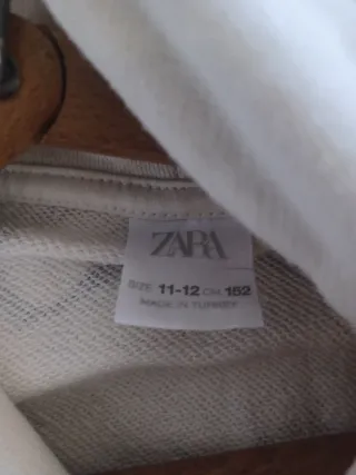 Sudadera Zara con capucha y estampado
