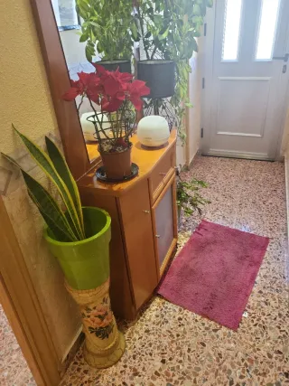 Recibidor con espejo