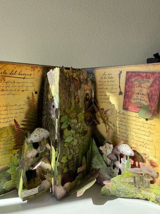 Libro Las Hadas y Flores Rincones Secretos