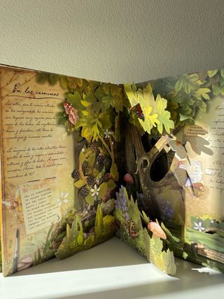 Libro Las Hadas y Flores Rincones Secretos