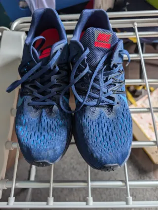 Zapatillas Nike Zoom Winflo 5 Azul