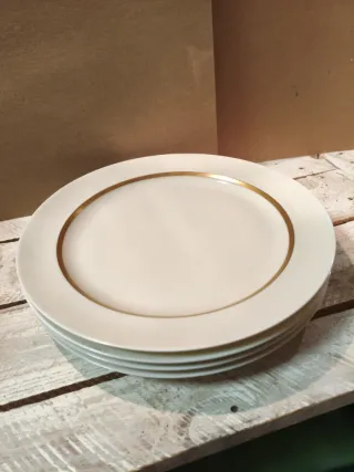 Antiguos platos Porcelana Limoges