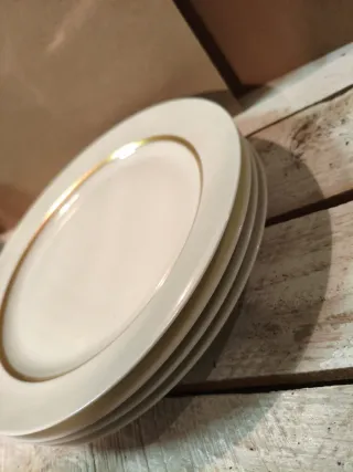 Antiguos platos Porcelana Limoges