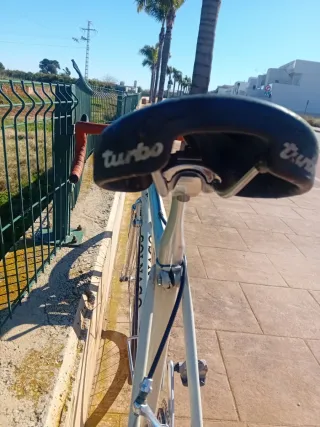 Bicicleta colnago clásica