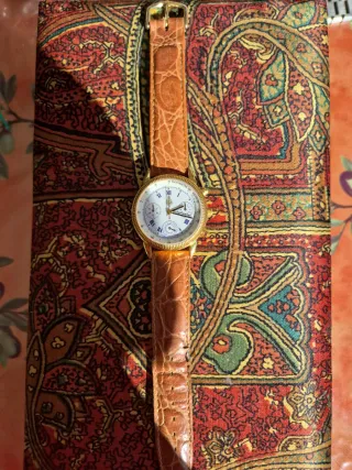 Reloj Delma Royal Geographical Society Suizo