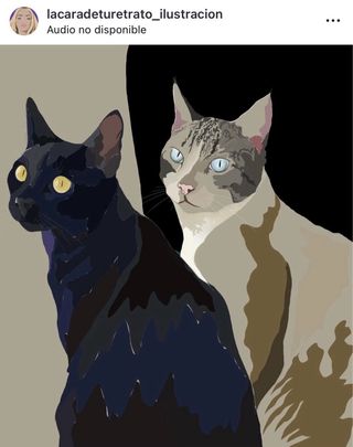 Ilustraciones personalizadas o retratos