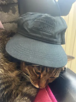 Cappellino Converse Nero Taglia Unica