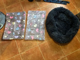 Camas para perro o gato