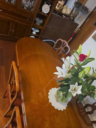 Mesa Comedor Ovalada con 6 Sillas