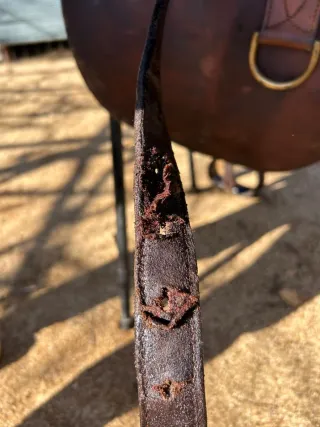 Silla de montar a caballo australiana