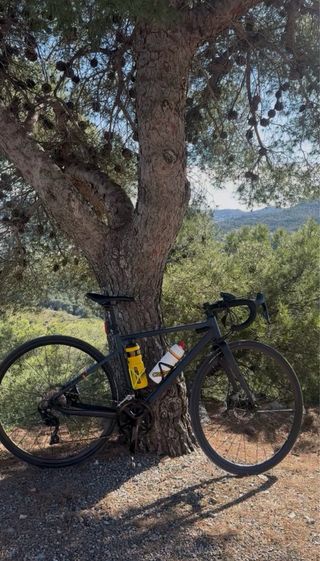 Bicicleta Triban RC520 Talla M