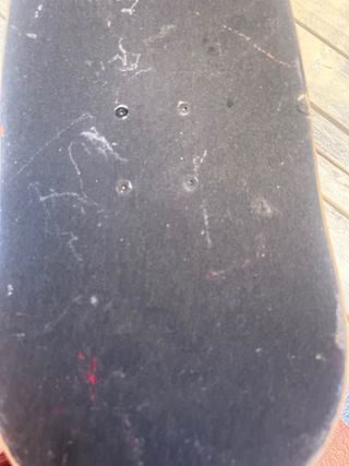 Skate con diseño de lobo