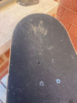 Skate con diseño de lobo