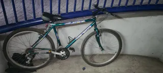 Bicicleta Globe Trotter Verde