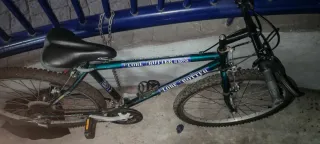 Bicicleta Globe Trotter Verde