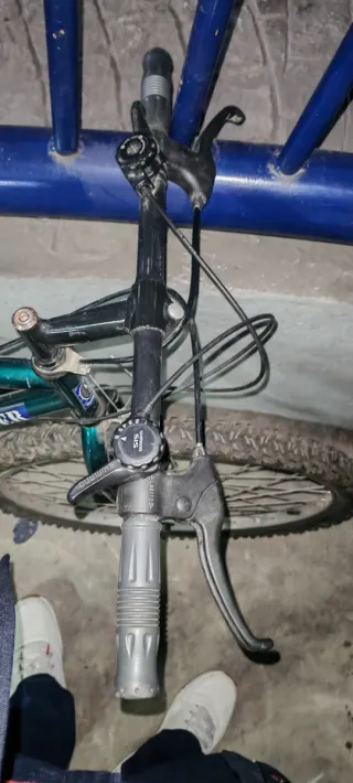 Bicicleta Globe Trotter Verde