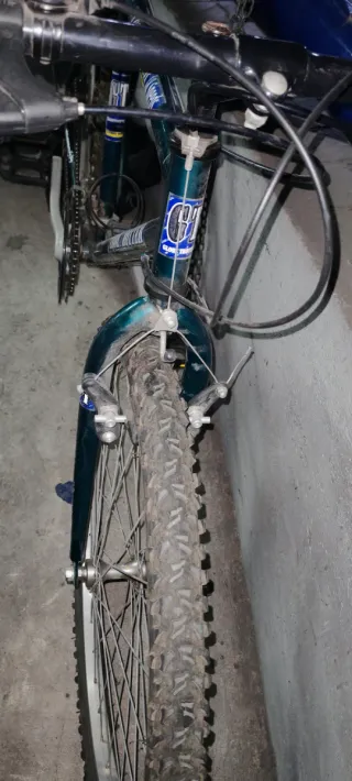 Bicicleta Globe Trotter Verde